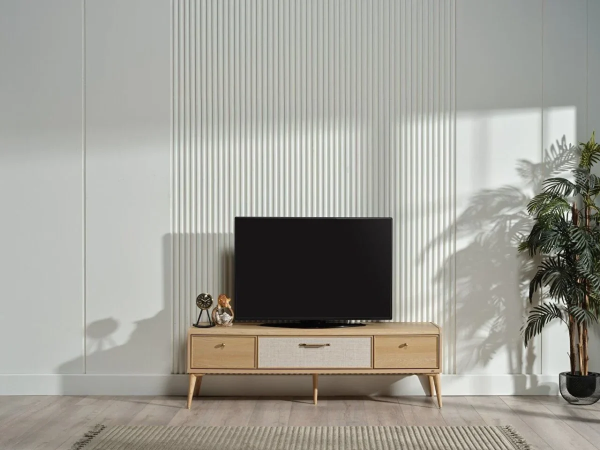 Ansamblu Tv Mitra - imagine 3