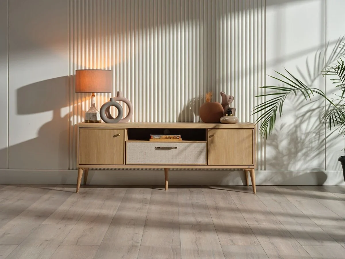 Ansamblu Tv Mitra - imagine 4