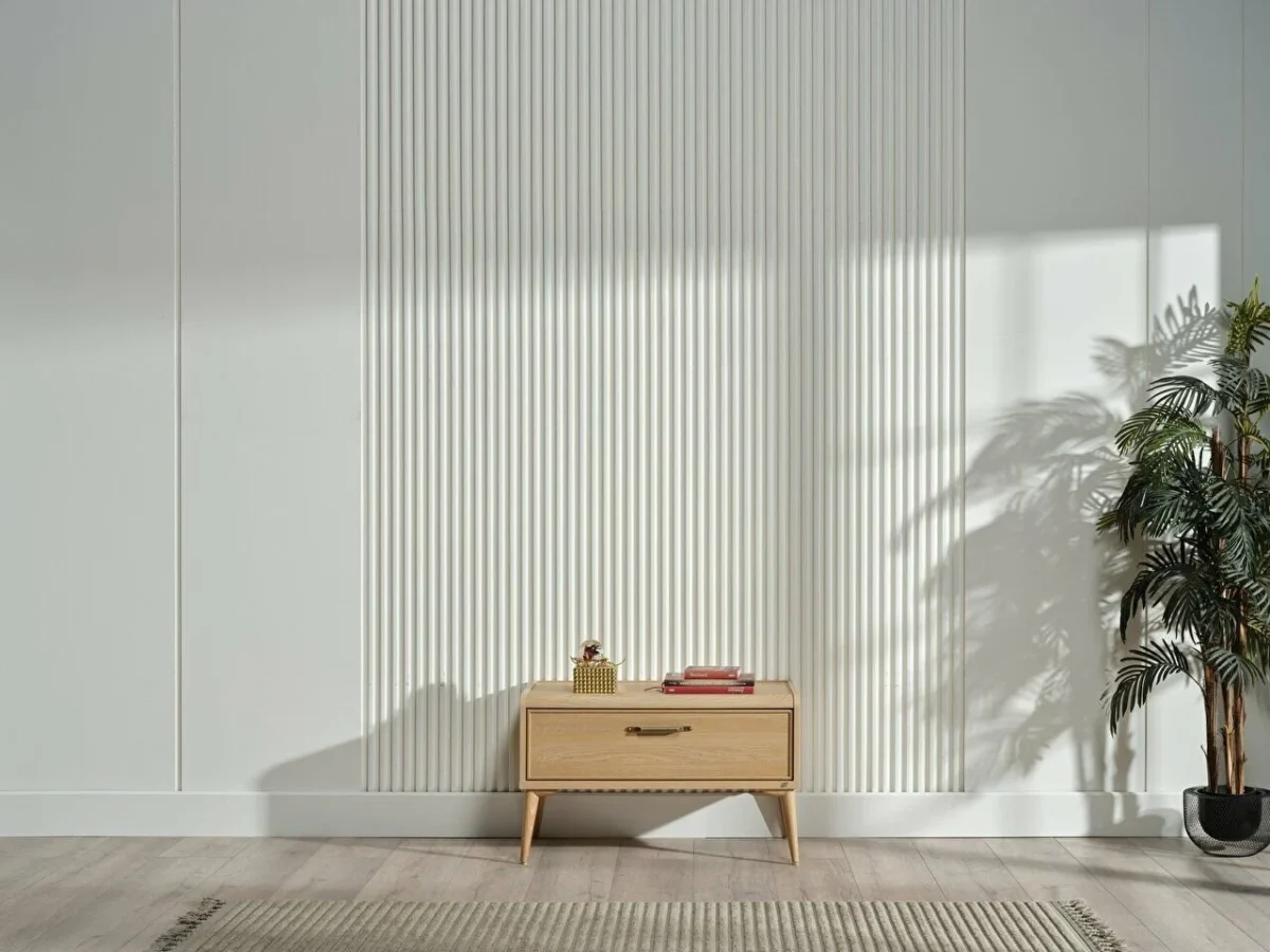 Ansamblu Tv Mitra - imagine 5