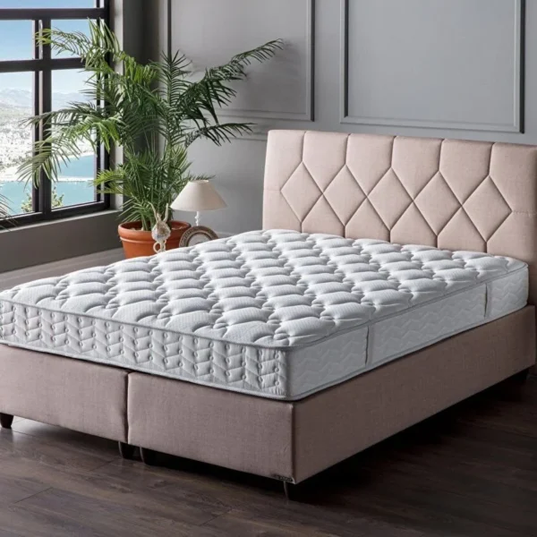 Saltea ortopedica Dreamwell