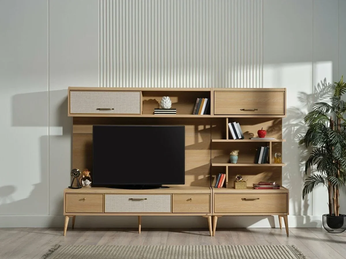 Ansamblu Tv Mitra - imagine 2