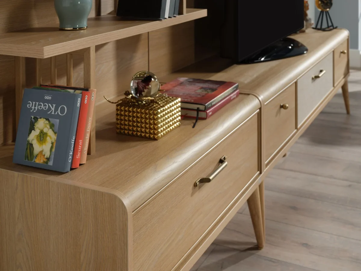 Ansamblu Tv Mitra - imagine 10