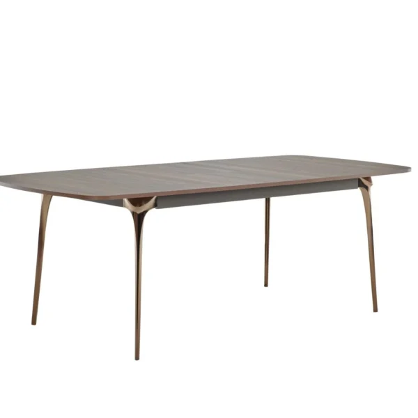 Masa extensibila Vanessa