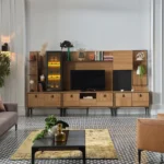 Ansamblu tv Vista